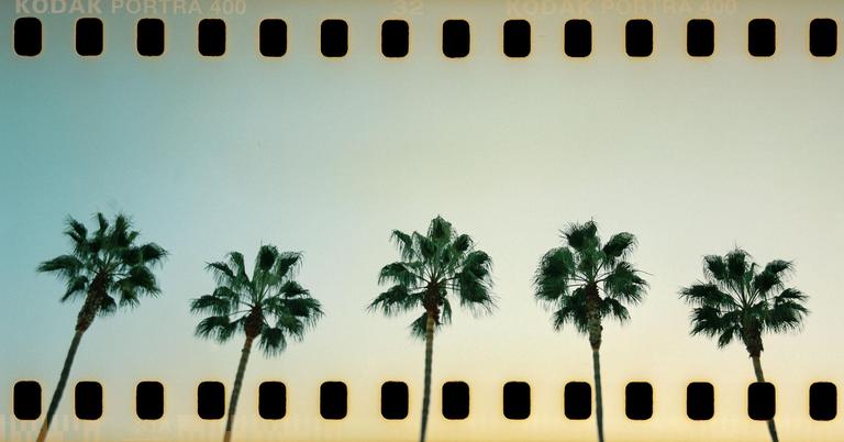 Five palm trees stand against a gradient sky with film sprockets visible at the top and bottom.