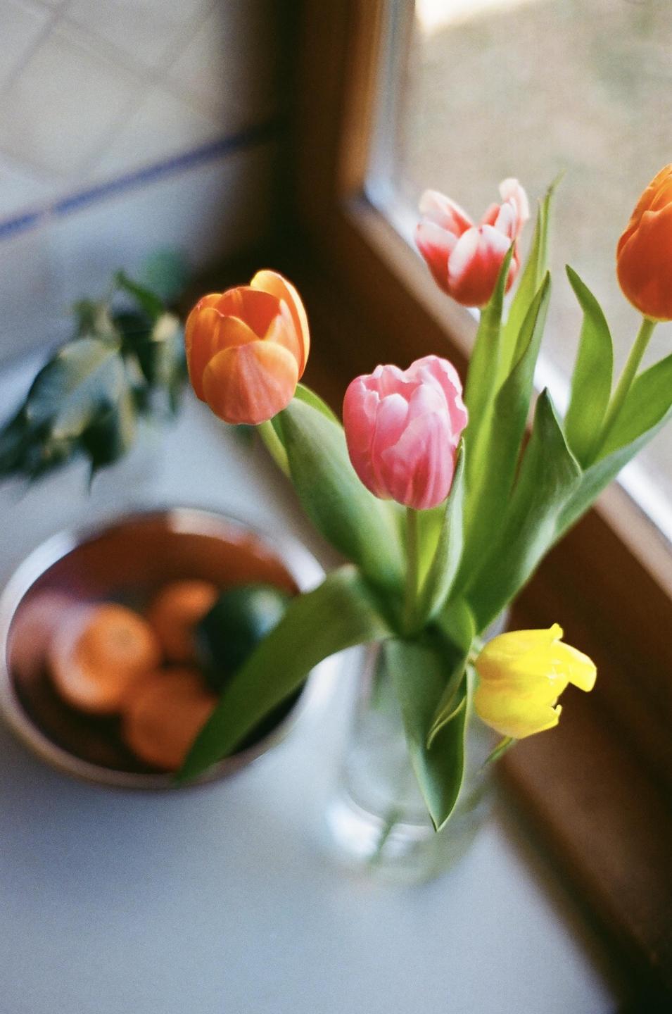 A vase of colorful tulips sits on a surface next to a bowl of fruit near a window.
