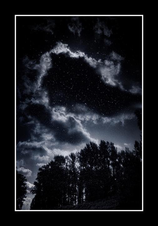 A dark sky with clouds and many small white specks is reflected in water with trees along the horizon.