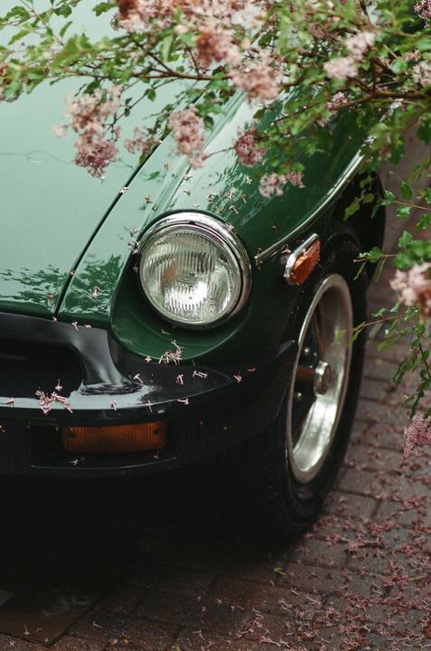 A green car is parked on a brick surface, partially covered by a flowering tree.
