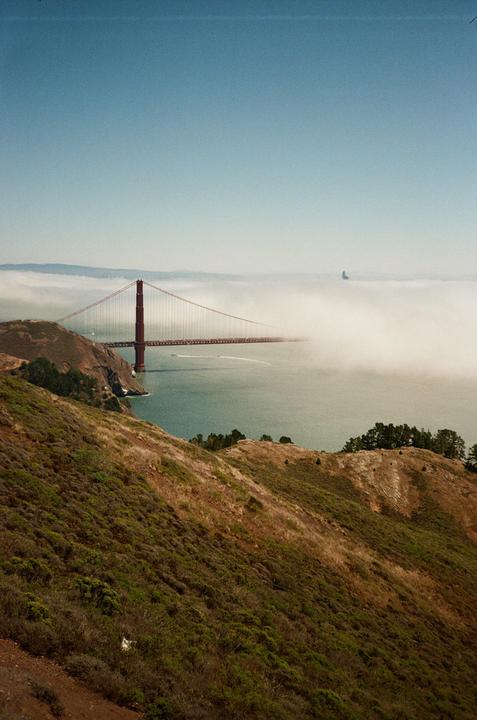 The Golden Gate Bridge is partially obscured by fog, with hills covered in green and brown foliage in the foreground.