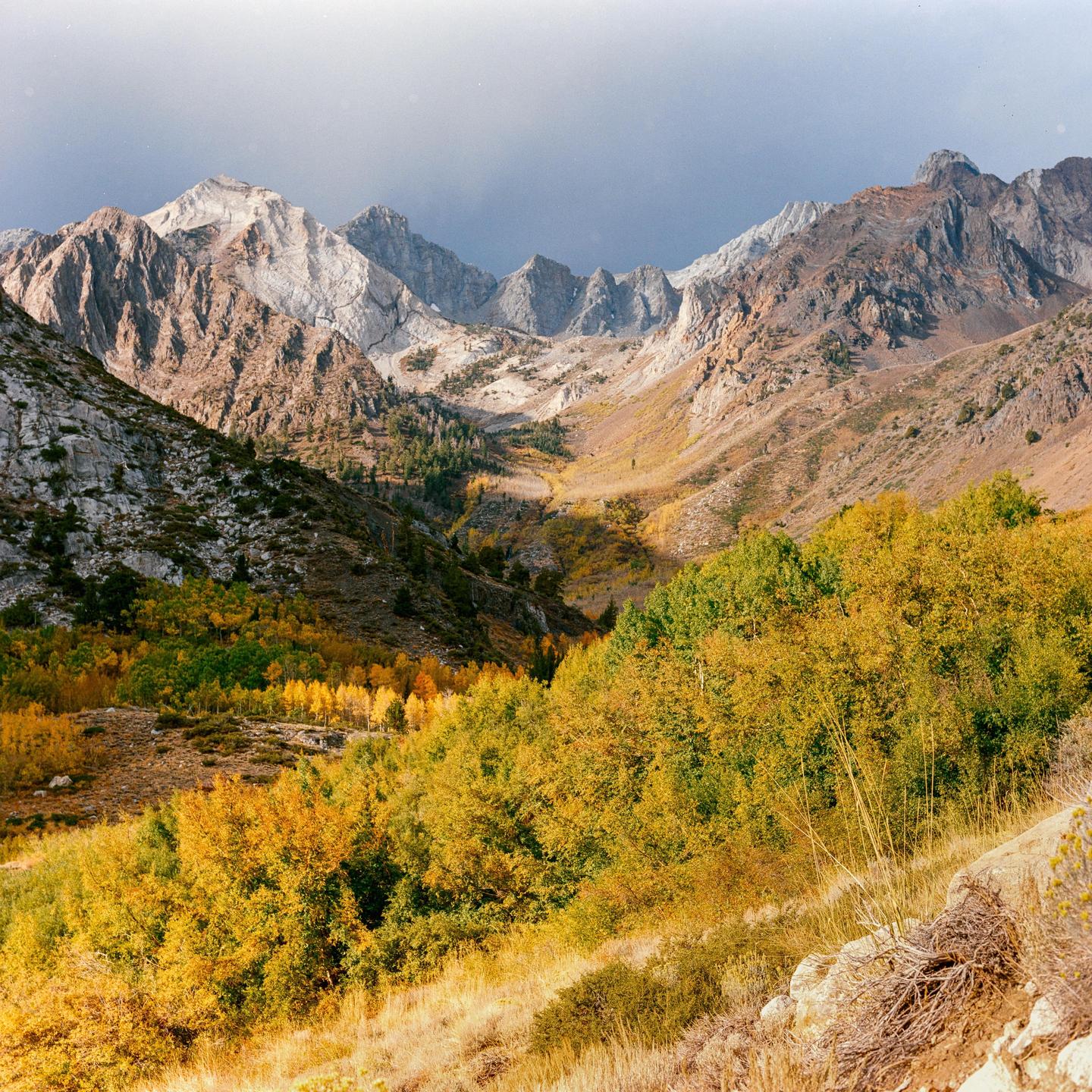 A valley with autumn foliage is nestled between rocky mountains under a cloudy sky.