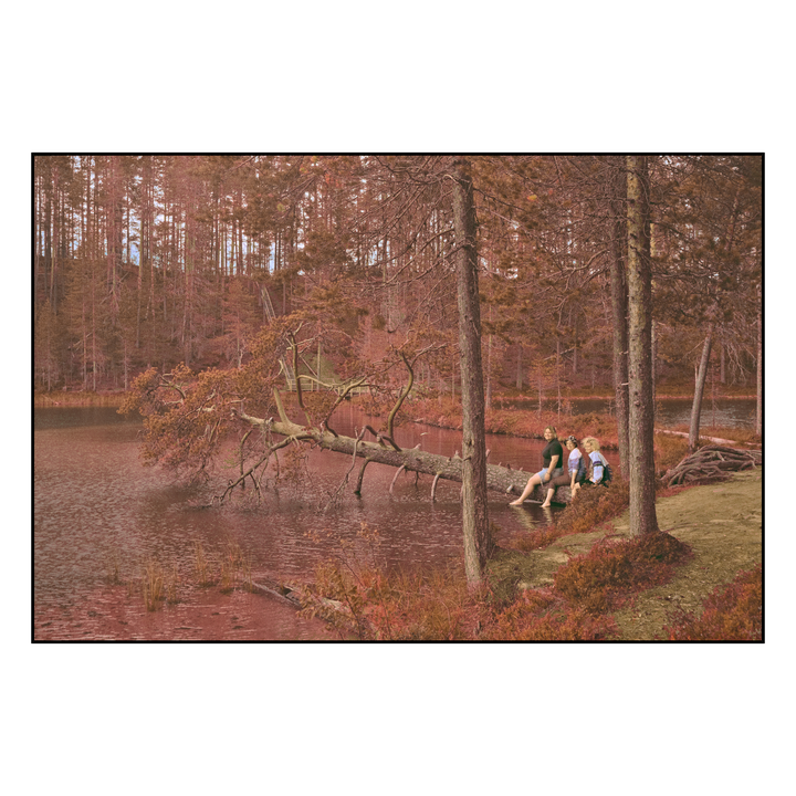 Three women sit on the bank of a lake with a fallen tree partially submerged in the water, surrounded by a forest.