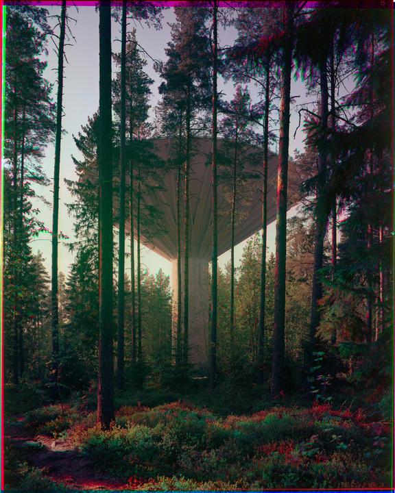 A water tower is visible through a dense forest of tall pine trees.