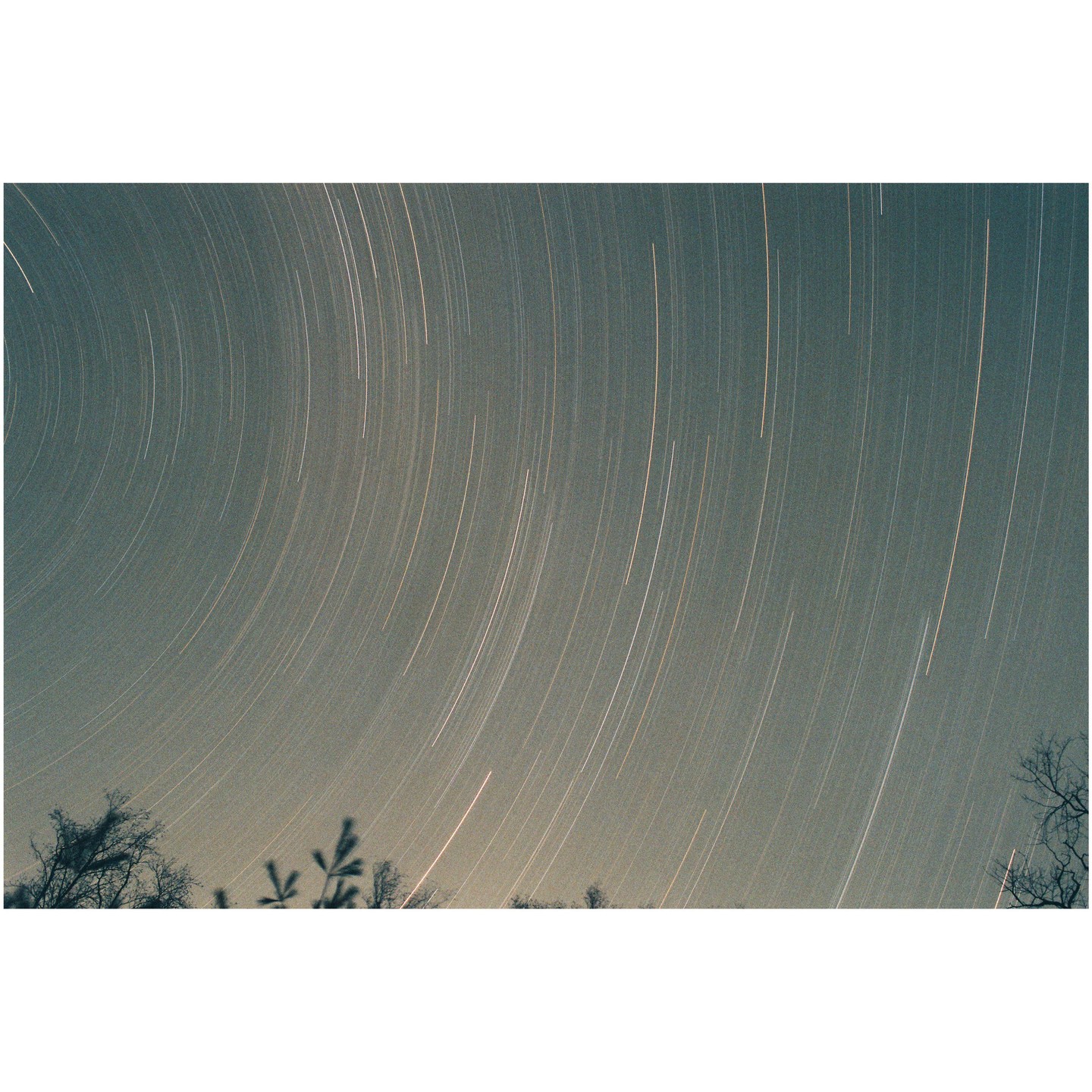 Star trails arc across the night sky above silhouetted trees.
