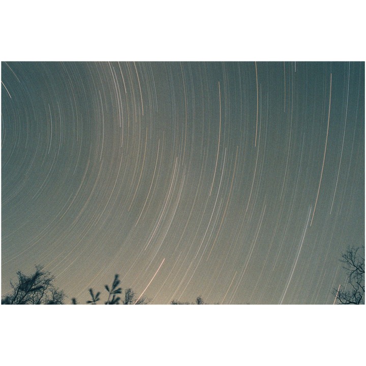 Star trails arc across the night sky above silhouetted trees.