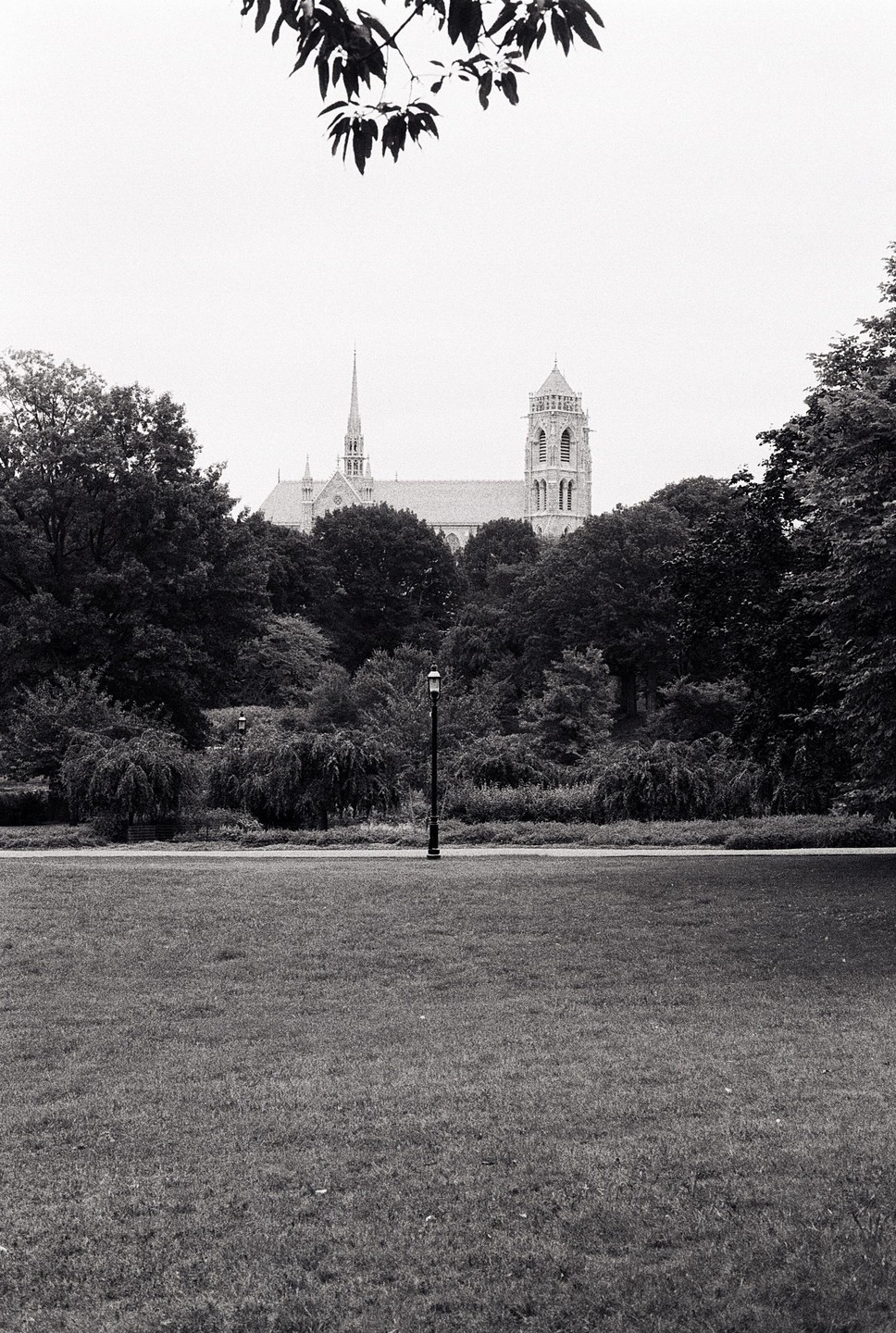 A large church with a tall spire and a bell tower is visible behind a line of trees and a grassy field with a single lamppost.