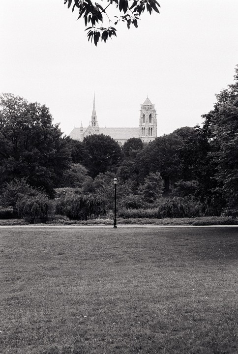A large church with a tall spire and a bell tower is visible behind a line of trees and a grassy field with a single lamppost.