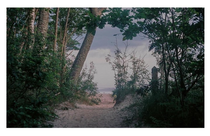 A sandy path leads through dense foliage towards a body of water under a cloudy sky.