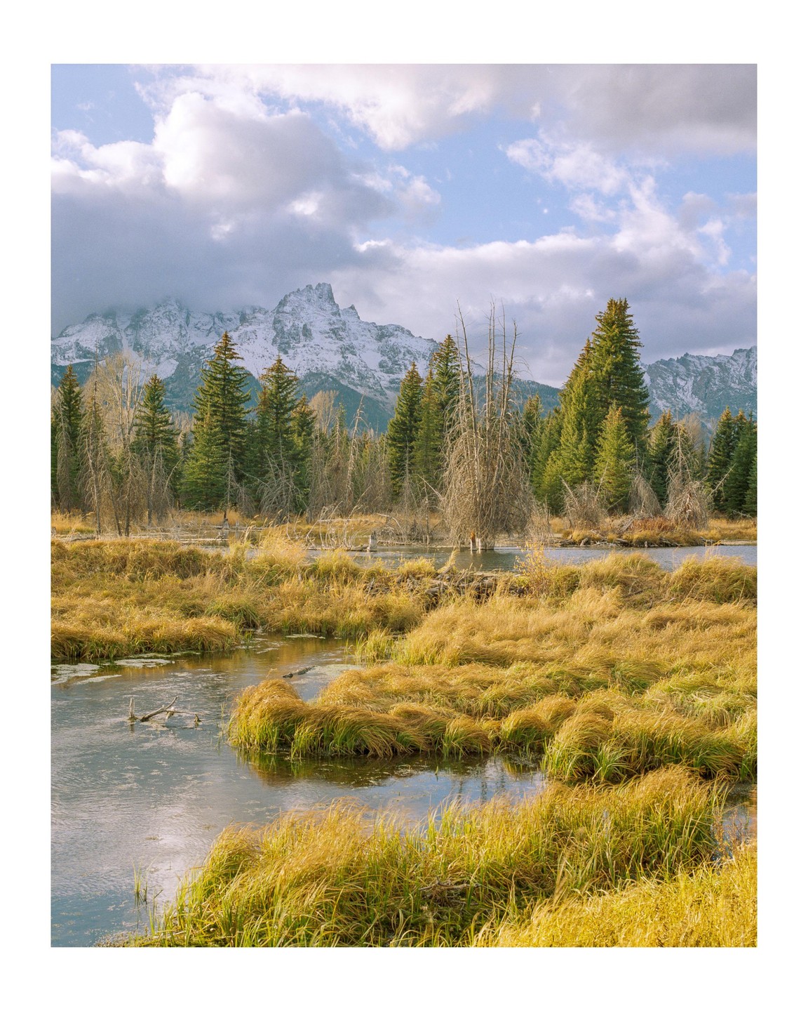 A body of water with golden grass in the foreground and snow-capped mountains in the background.