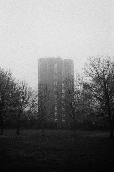 A tall building is partially obscured by fog and surrounded by bare trees and grass.