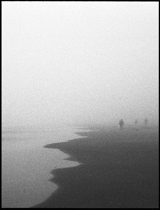 Three people walk along a beach in thick fog.