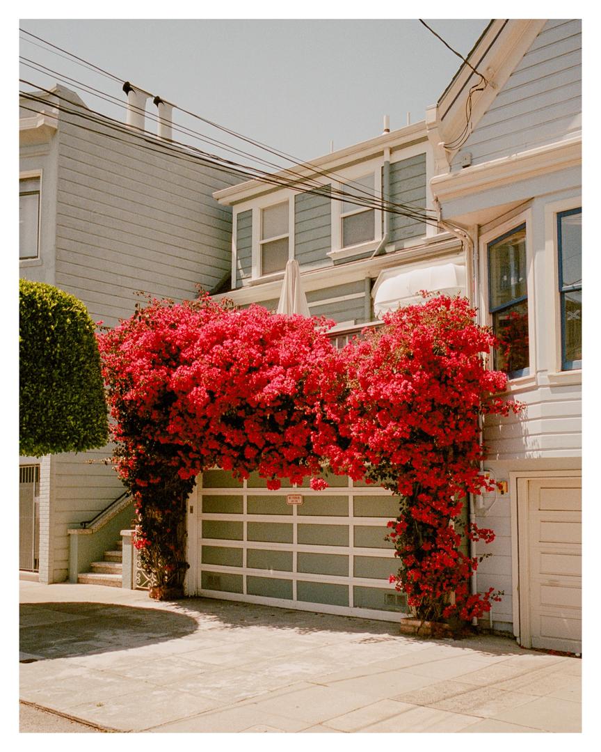 After shooting 400 rolls in 2 years, I think I am happy with the results., shot on KODAK PORTRA 400