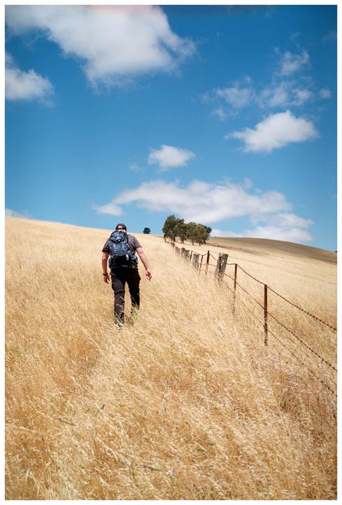 A man with a backpack walks up a hill covered in dry grass next to a barbed wire fence.