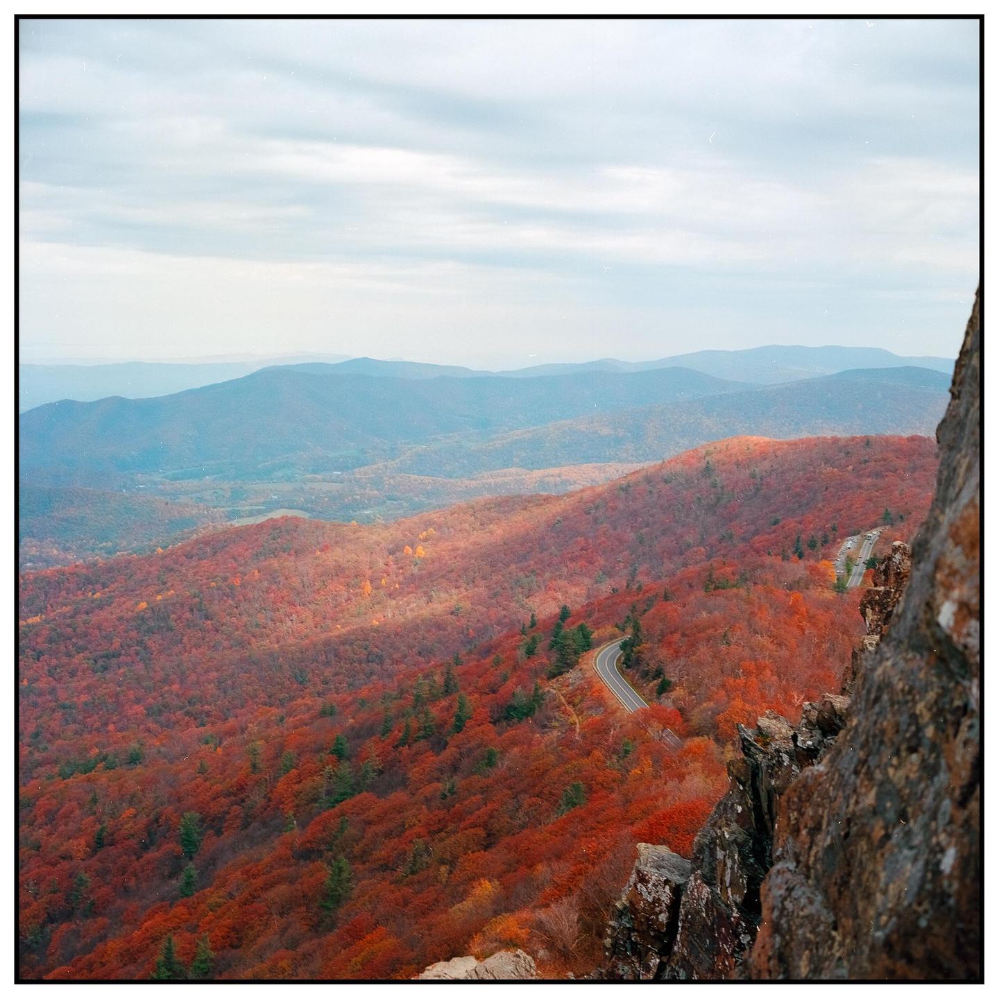 A winding road cuts through a mountain landscape covered in autumn foliage under a cloudy sky.