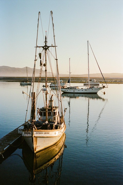 A fishing boat named Esther Louise is docked in calm water with other boats and mountains in the background.