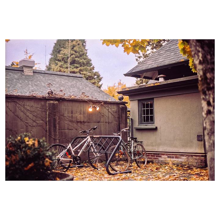 Two bicycles are parked in a rack on a ground covered with autumn leaves next to a building with a window.