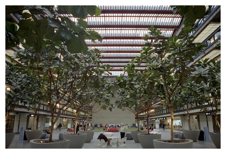 A large indoor atrium features rows of trees in planters, with people gathered in the distance and a glass ceiling overhead.