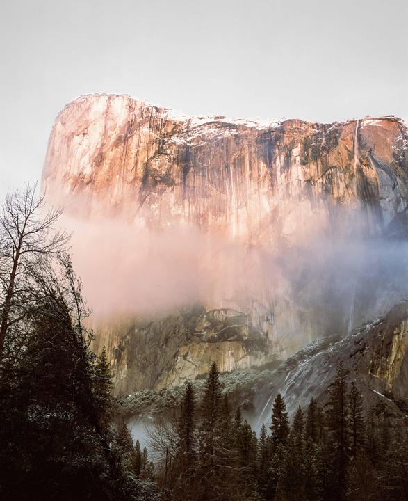 A large mountain cliff is partially obscured by fog, with evergreen trees in the foreground.