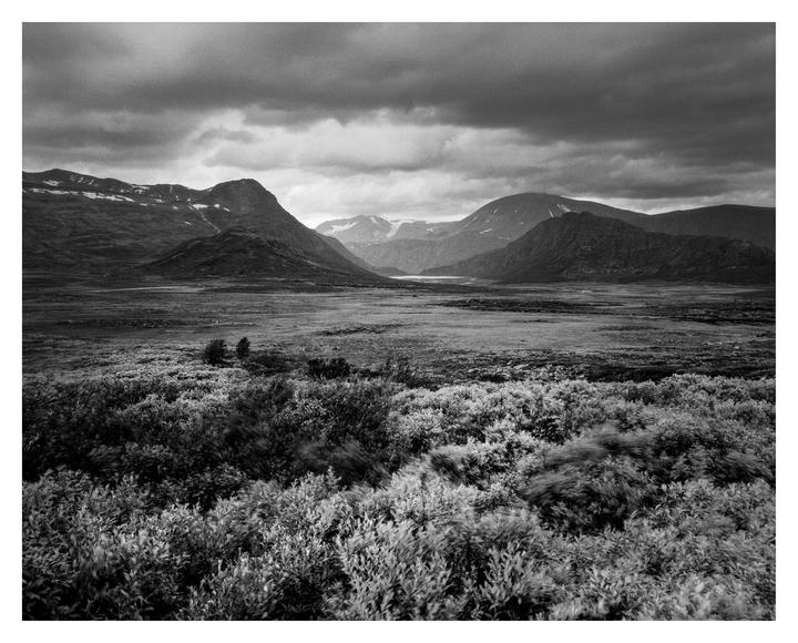 A vast landscape of low-lying vegetation and distant mountains with snow-capped peaks is visible under a cloudy sky.