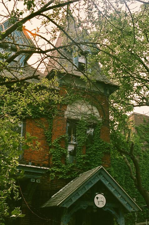 A brick building with a turret and a small porch is covered in ivy and surrounded by trees.