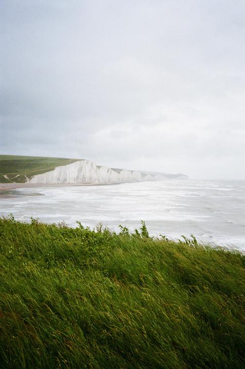 Tall green grass blows in the wind in front of white cliffs and a grey sea under a cloudy sky.