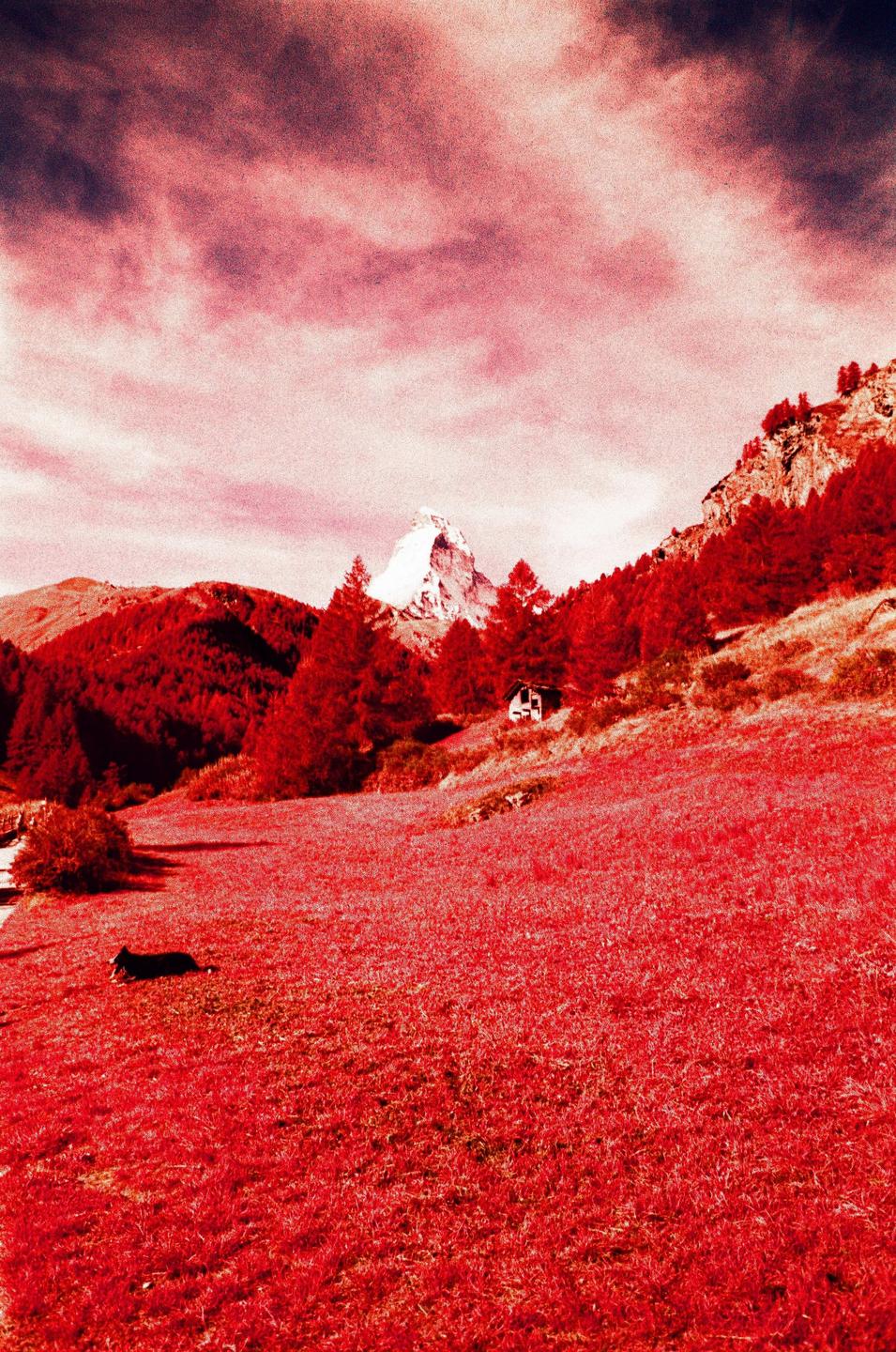 A red-hued landscape shows a snow-capped mountain peak, a small cabin, and a dog lying in a field.