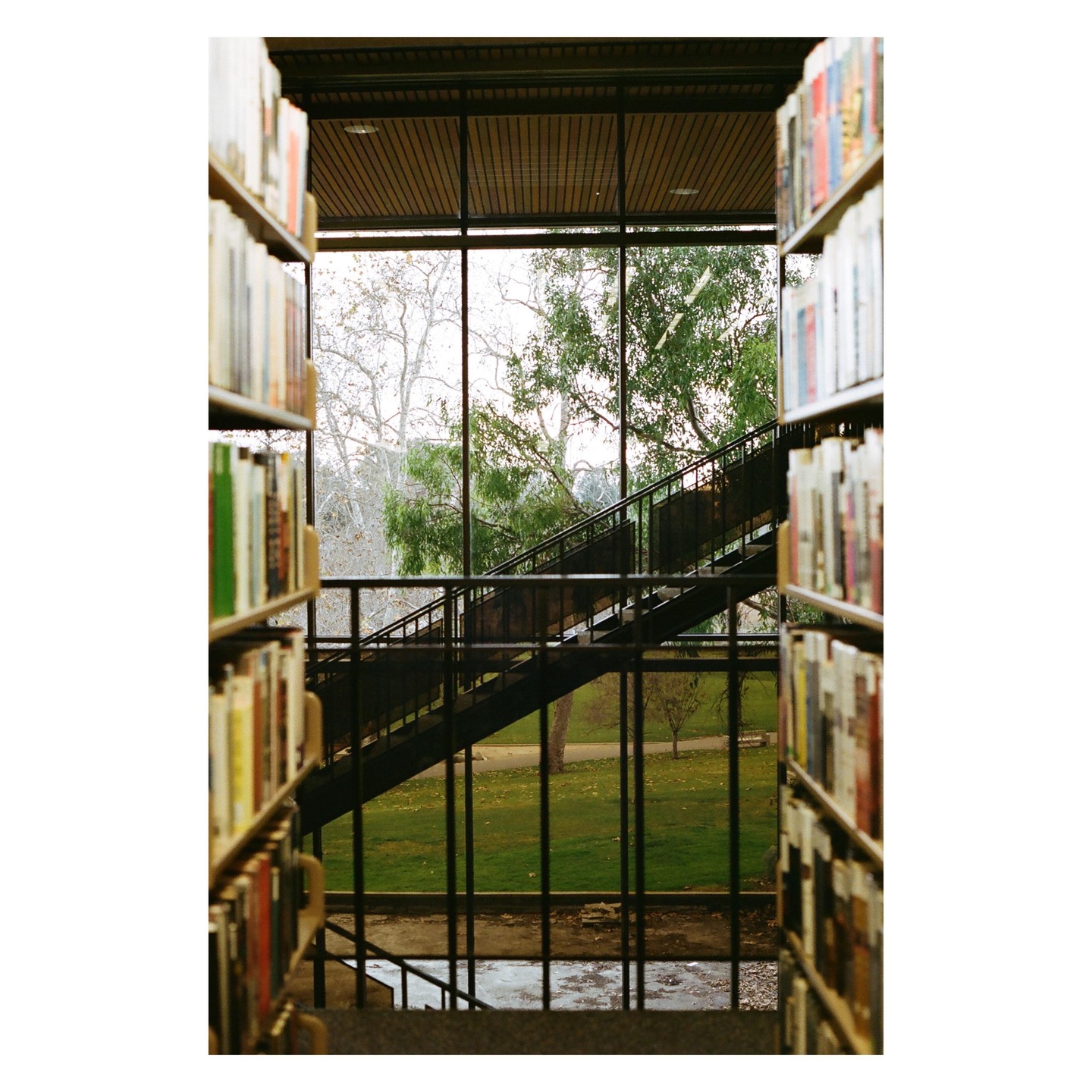 A library interior shows bookshelves flanking a large window that looks out onto a grassy area with trees and an exterior staircase.