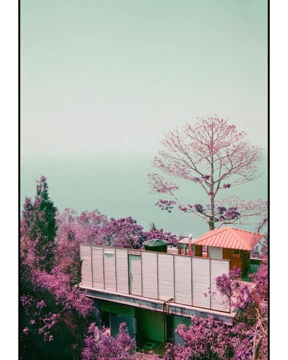 A building with a red roof and a water tank on its top is surrounded by purple trees under a pale green sky.