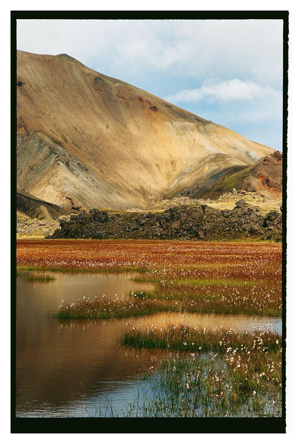 A body of water with white flowers and tall grass in the foreground reflects a mountain under a cloudy sky.