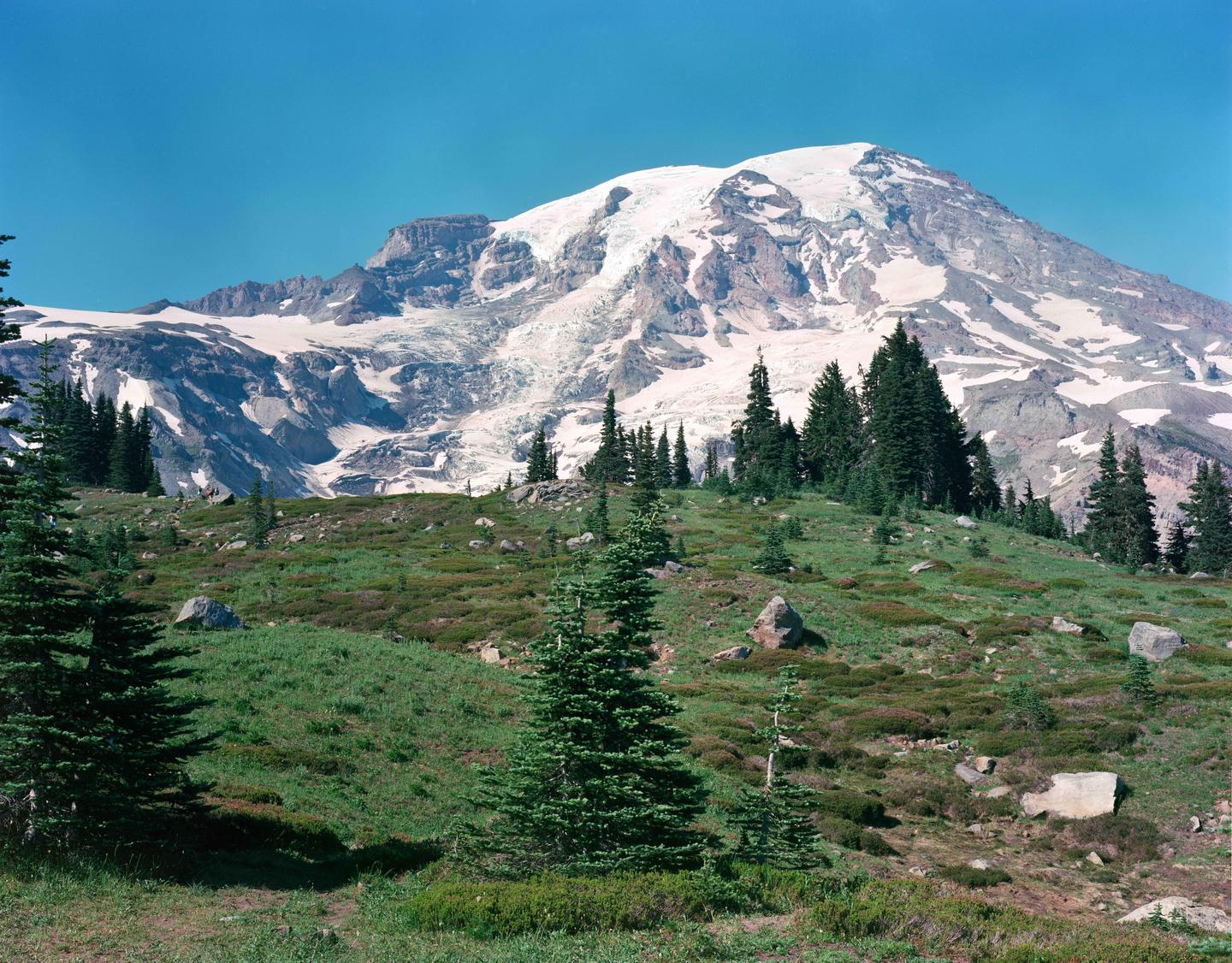 A snow-capped mountain rises above a green, rocky hillside dotted with evergreen trees.