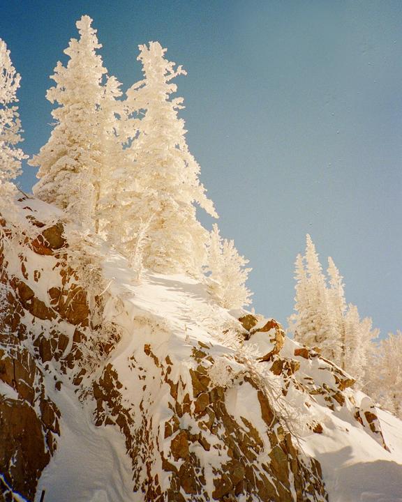 Snow-covered trees and rocks are visible on a mountain slope under a clear sky.