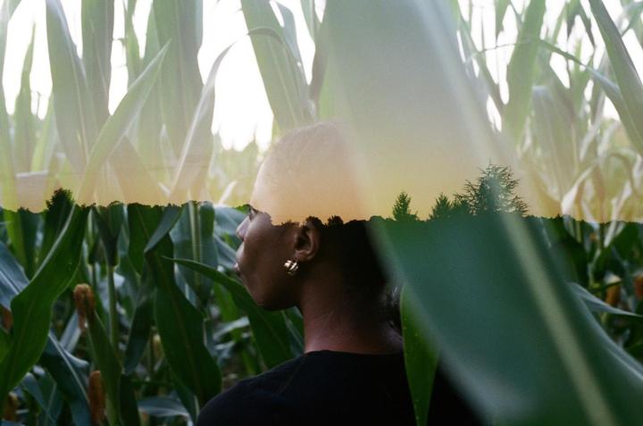 A double exposure shows a woman in a cornfield overlaid with a sunset and trees.