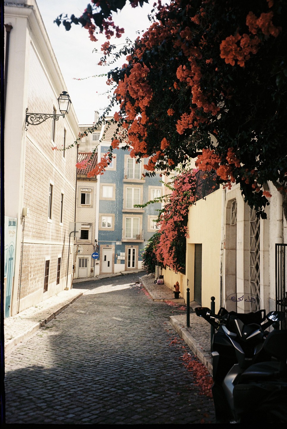 A narrow cobblestone street in Lisbon is lined with buildings and vibrant bougainvillea, with a scooter parked in the foreground.