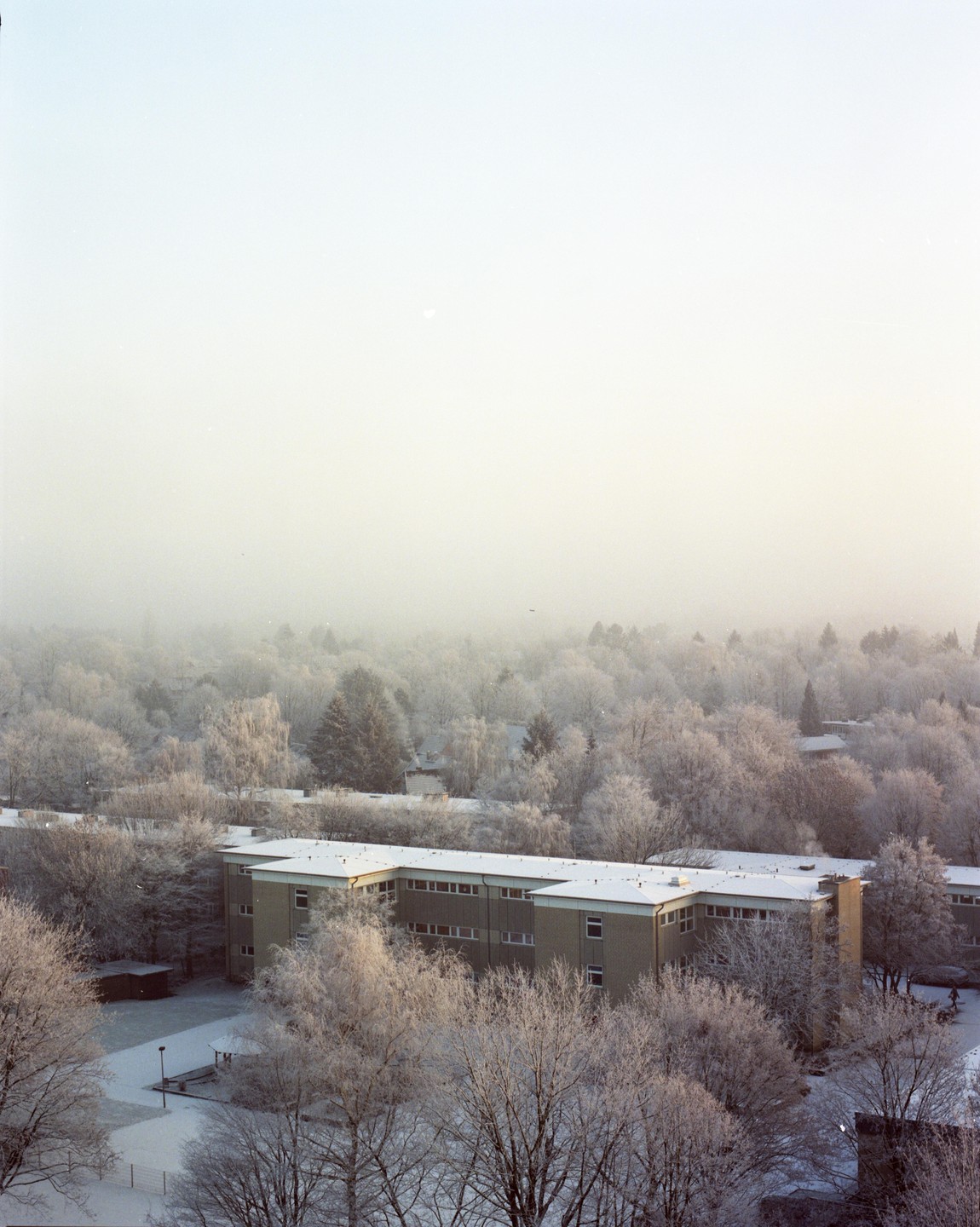 A building is surrounded by frost-covered trees and a snow-covered ground under a hazy sky.