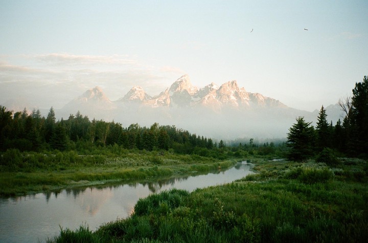 A river flows through a lush green landscape with a forest and hazy mountains in the background.