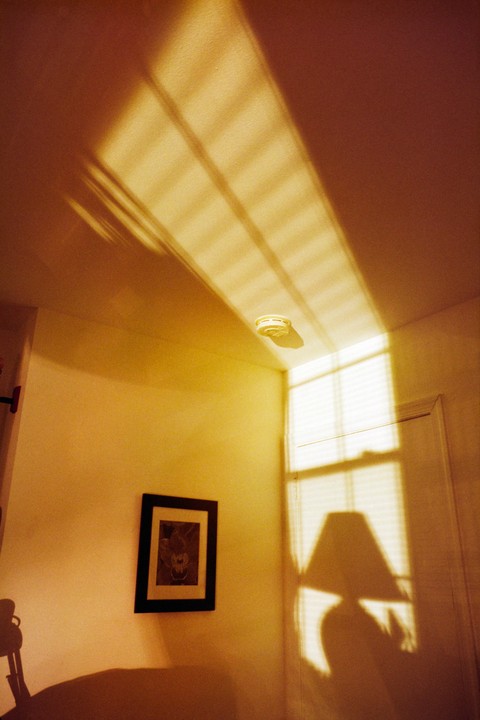 Sunlight streams through a window, casting shadows of blinds and a lamp onto the walls and ceiling of a room.