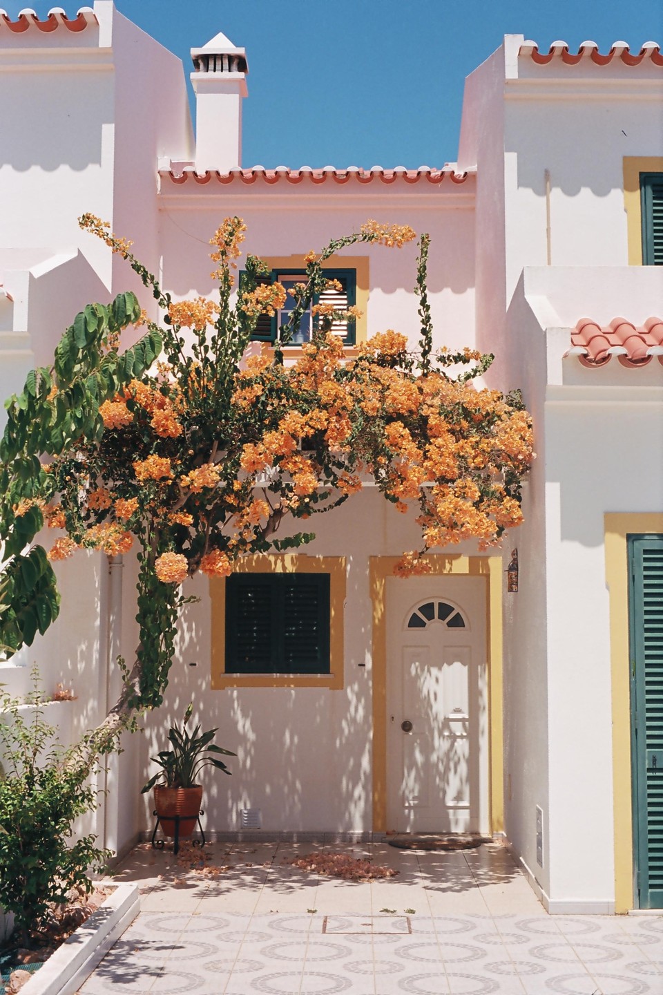 A white building with orange flowers growing on it has green shutters and a white door.