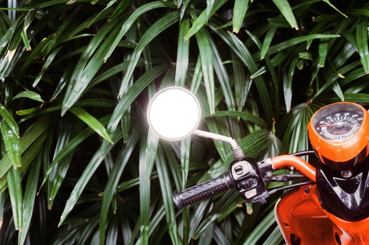 A bright orange scooter is parked in front of a wall of green foliage.