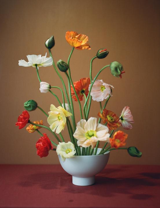 A white bowl holds a bouquet of colorful poppies and poppy buds on a red surface.