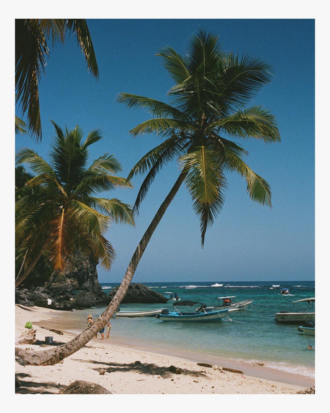 A sandy beach with palm trees and boats in clear blue water is visible under a bright sky.