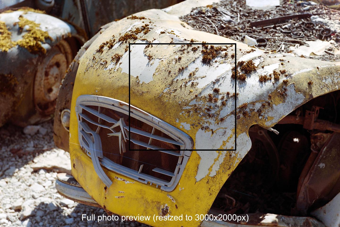 The front of a yellow and white abandoned car with a chrome grille is covered in peeling paint and rust.