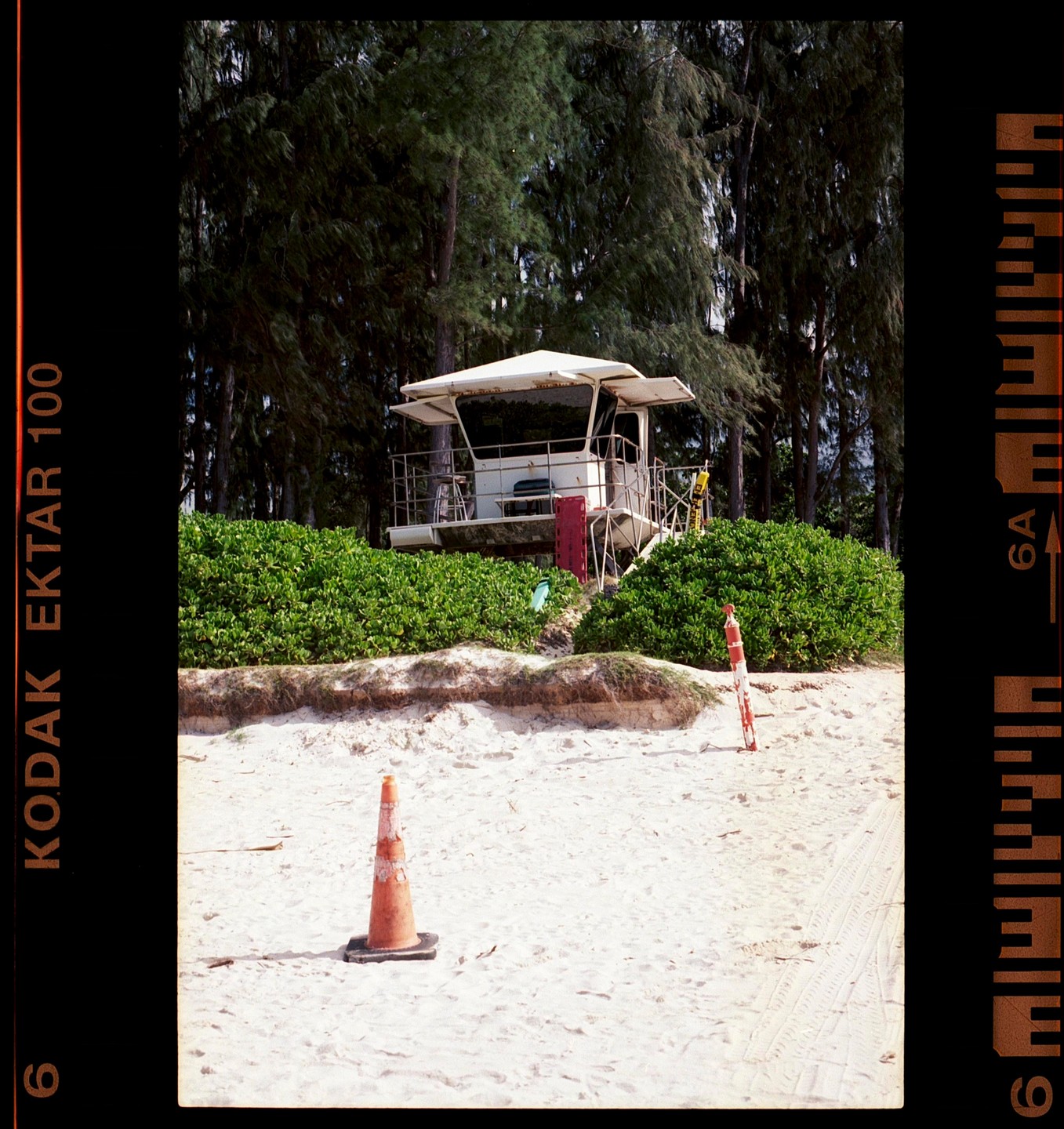 A white lifeguard stand sits behind green bushes on a sandy beach with tall trees in the background.