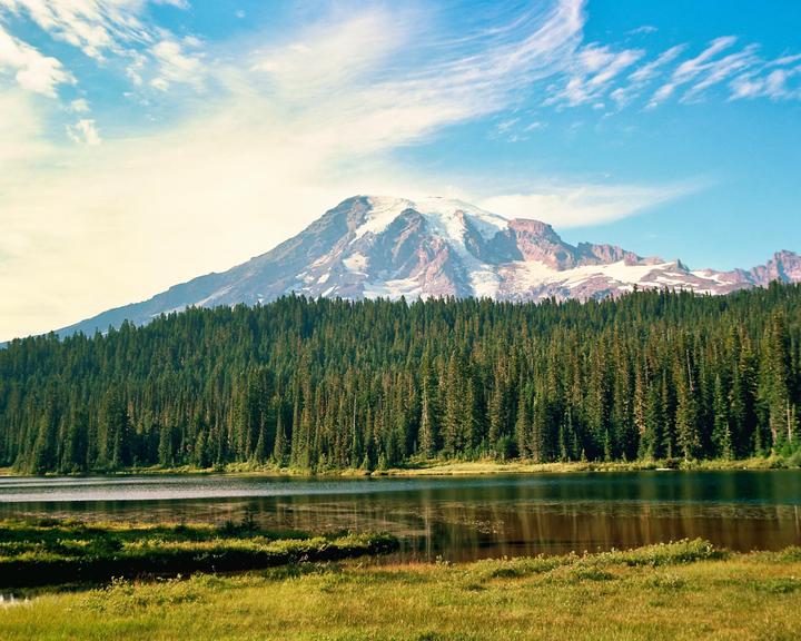 A snow-capped mountain rises above a dense forest and a calm lake with grassy banks under a blue sky.