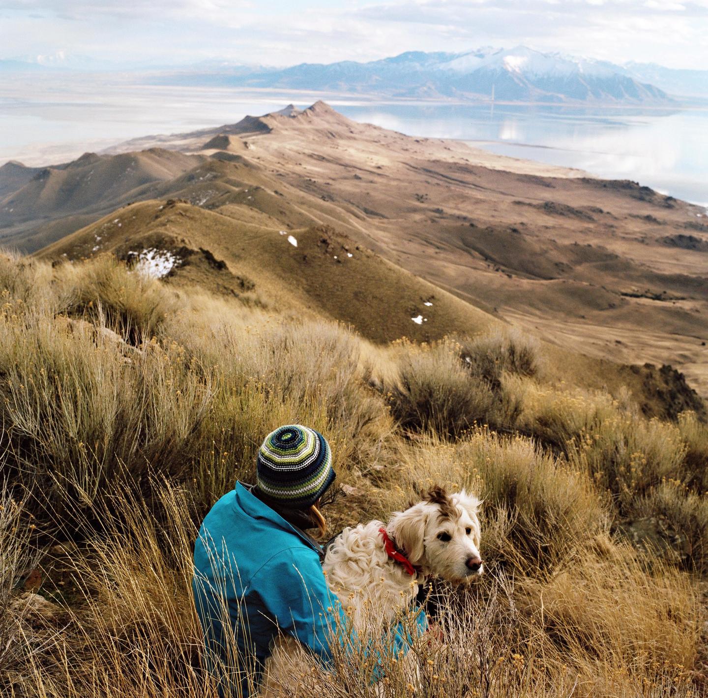 A person and a dog sit in tall grass on a hillside overlooking a lake and mountains.