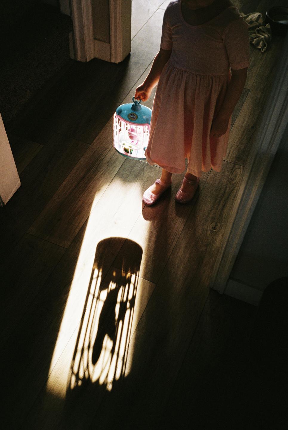 A child in a pink dress holds a light-up toy birdcage, casting a shadow on a wooden floor.