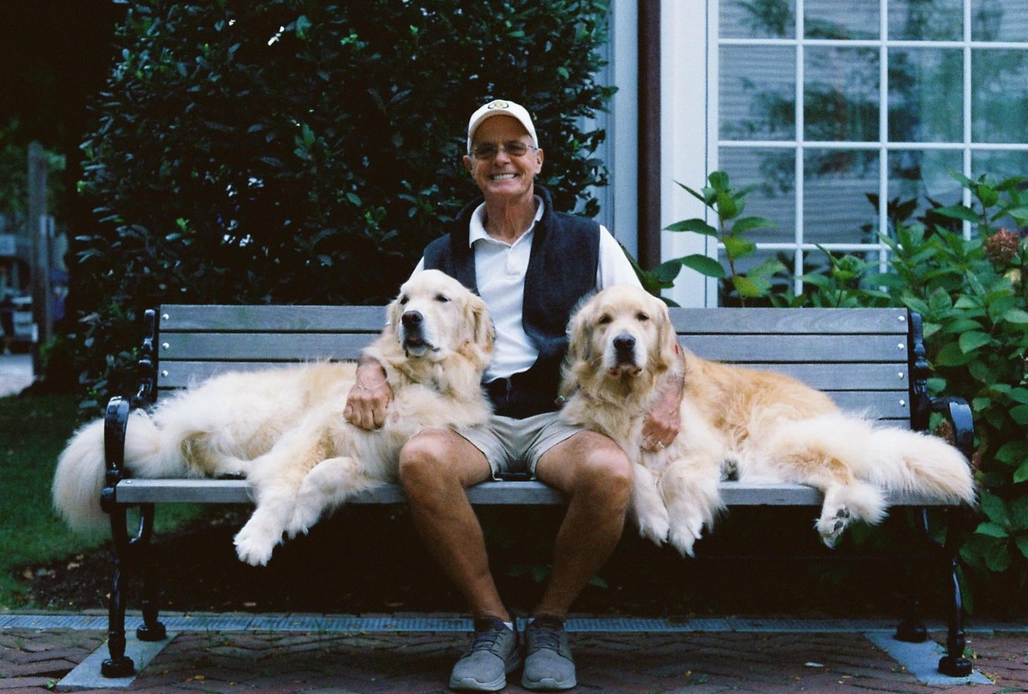 A man sits on a park bench with two golden retrievers on either side of him.