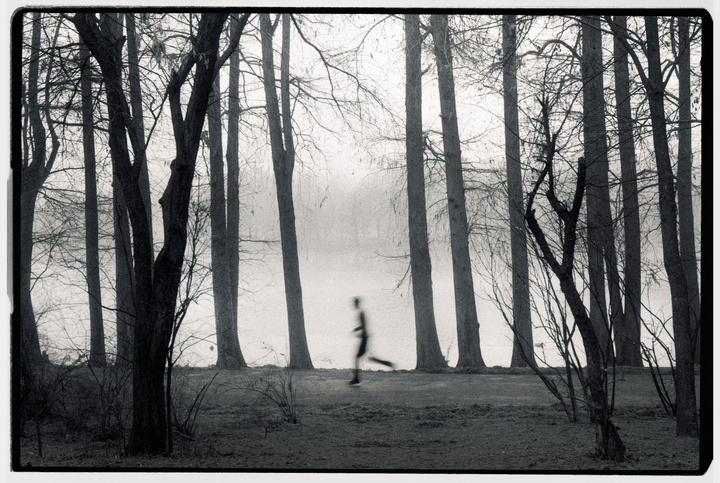 A blurry figure runs through a foggy forest with tall, bare trees.