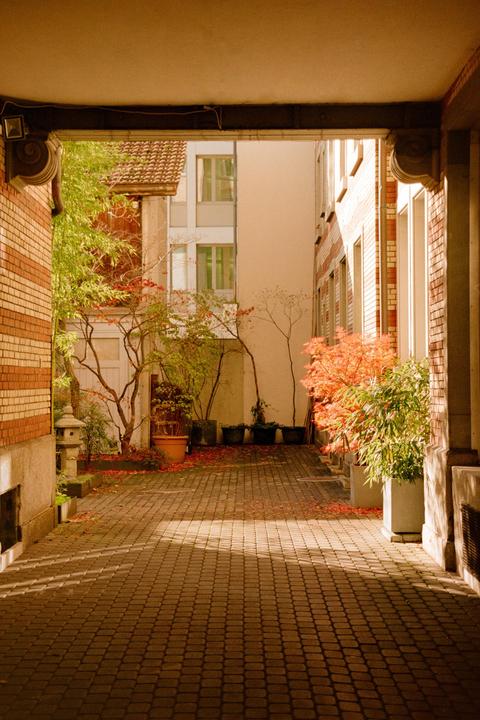 A narrow courtyard with brick walls and potted plants is illuminated by sunlight, casting shadows on the paved ground.