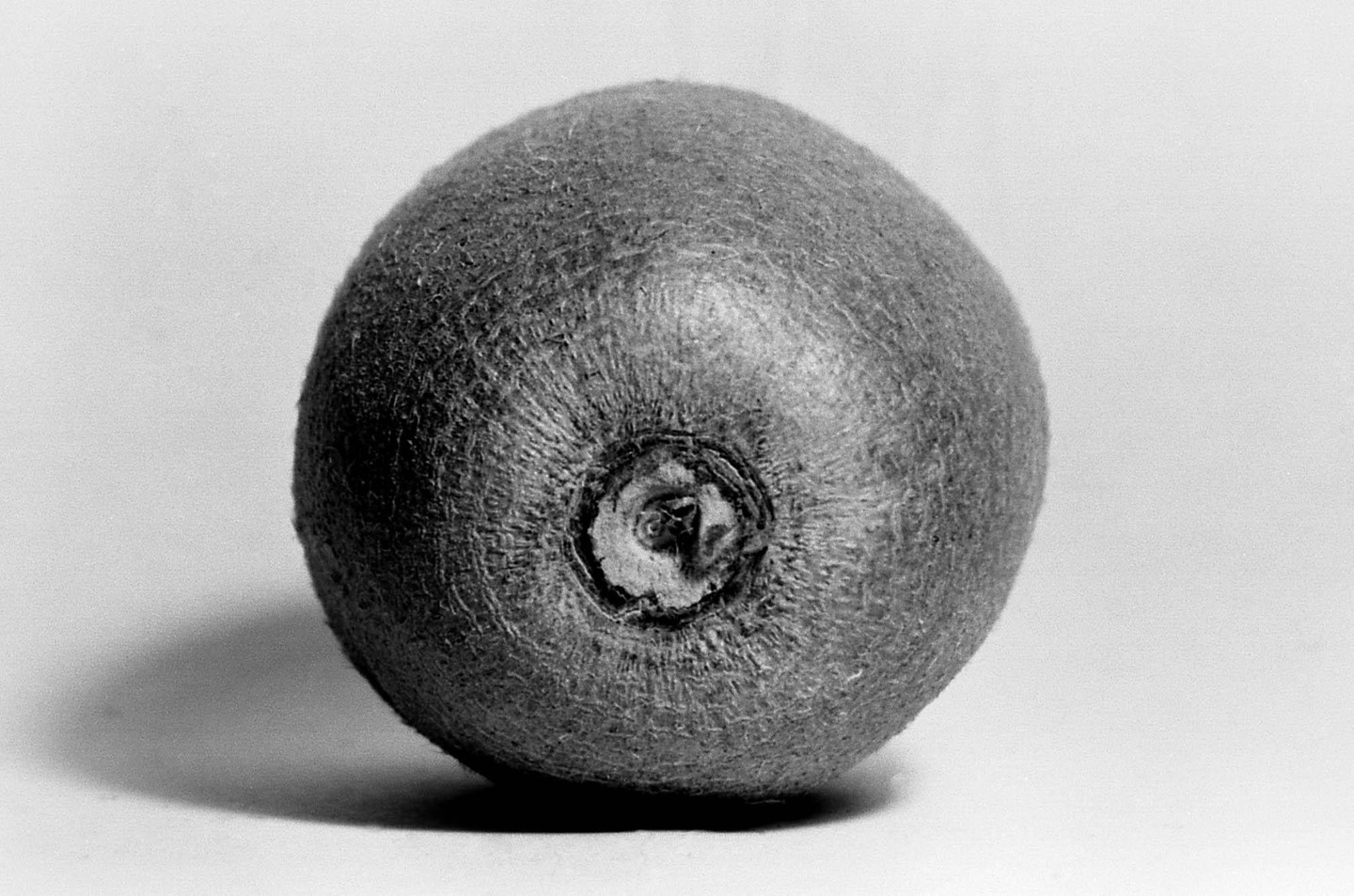 A single kiwi fruit is centered in a black and white still life.